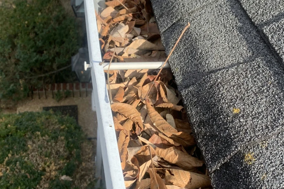 Gutter Cleaning Rotonda West FL