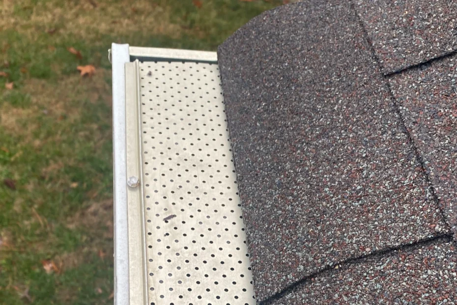 Gutter Cleaning Rotonda West FL