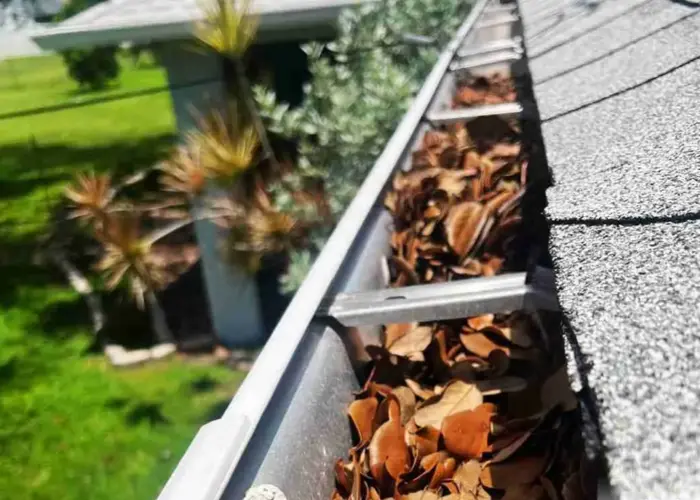 Gutter Cleaning Rotonda West FL home page